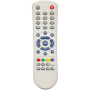 RAINFORD 631020001